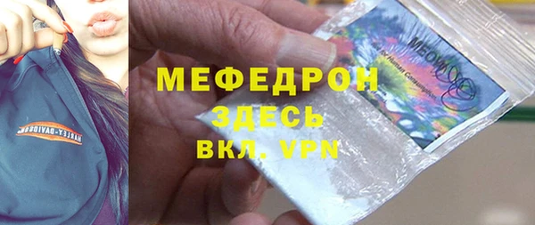 сатива Каменка