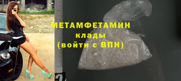 сатива Каменка