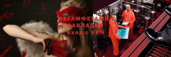 сатива Каменка