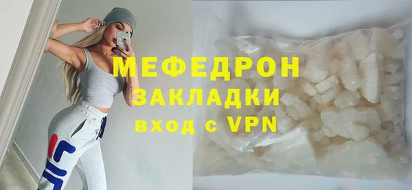 сатива Каменка