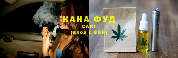 сатива Каменка