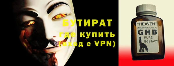 сатива Каменка