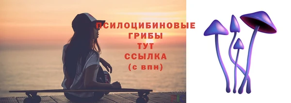 сатива Каменка