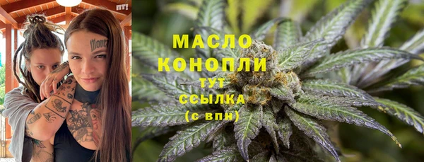 сатива Каменка