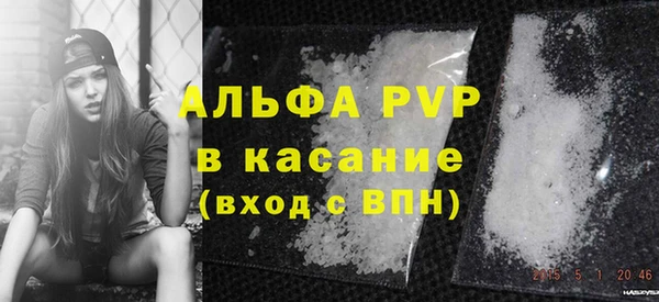 сатива Каменка