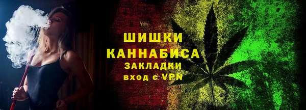 сатива Каменка