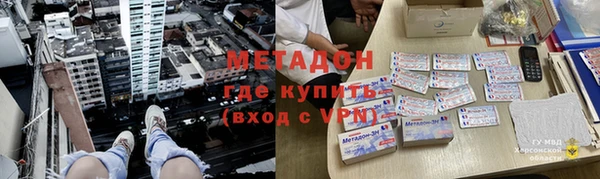 сатива Каменка
