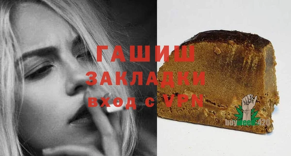 сатива Каменка