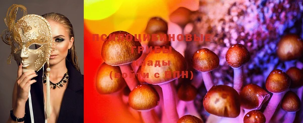 сатива Каменка