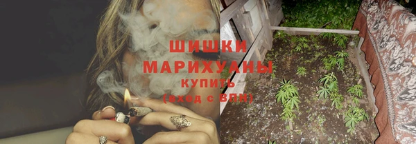 сатива Каменка